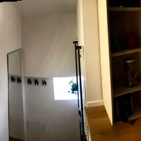 Apartment Cozy Laura Place
